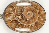 Fossil Ammonite Pendant - Million Years Old #205783-1